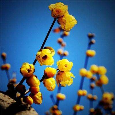 竞猜足球app下载手机版截图