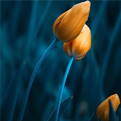 梭哈游戏下载手机app下载截图