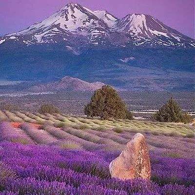 欢迎使用乐鱼App