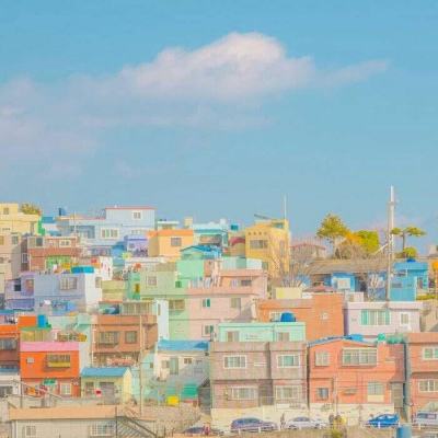 49图库资料免费大全资料澳门下载手机版