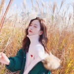 江南APP下载手机版